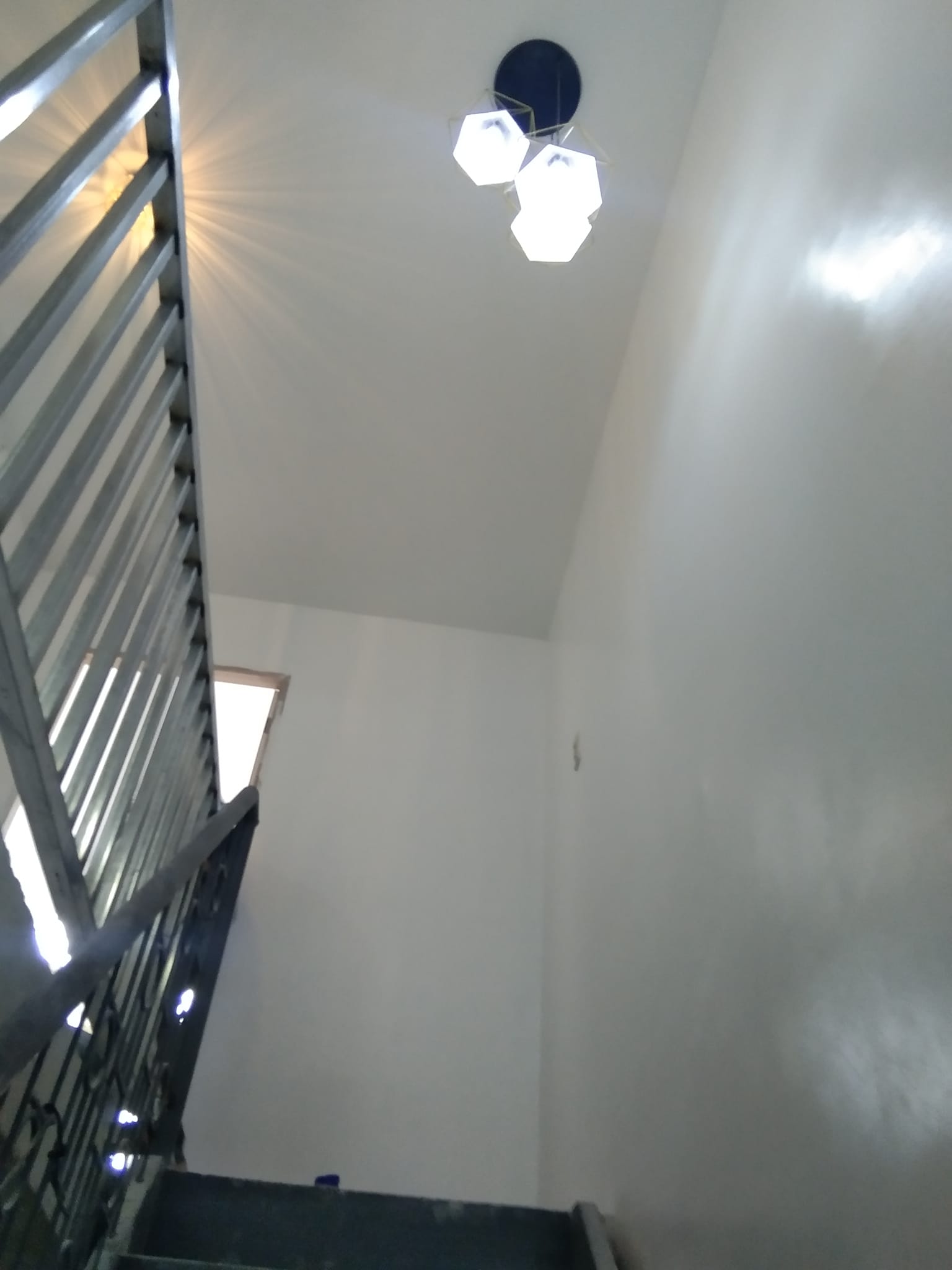 Commercial project
